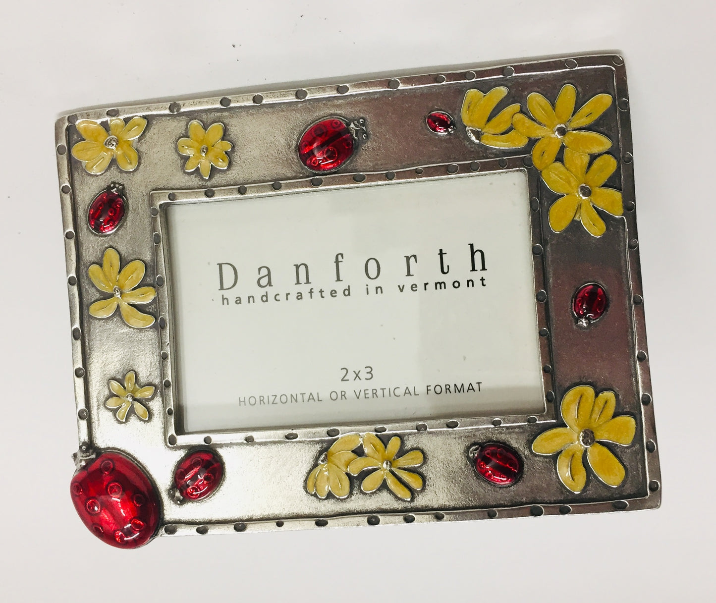 Ladybug Frame 2X3