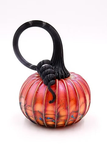 Single Small Pumpkin New Harvest