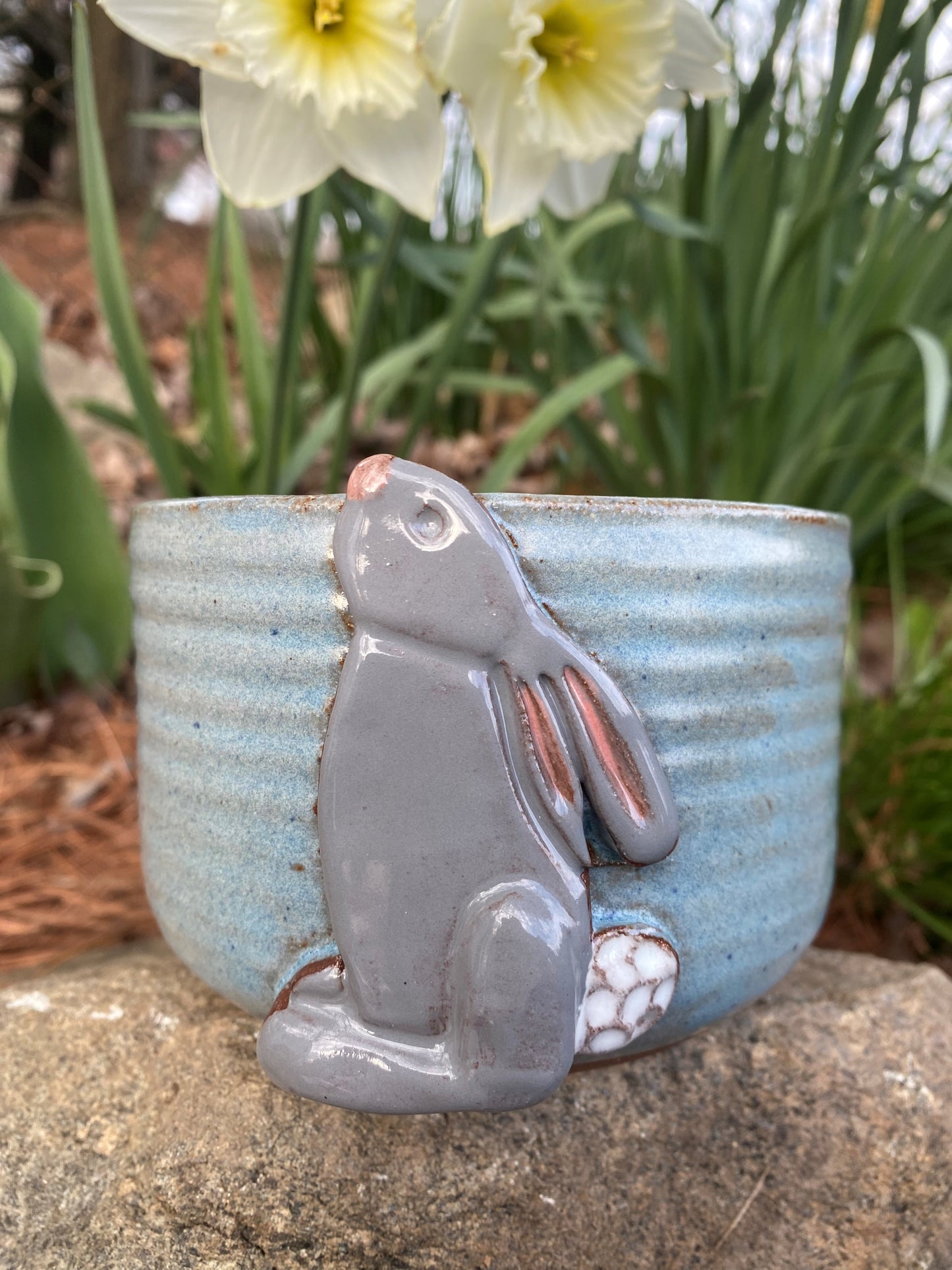 Bunny Bowl