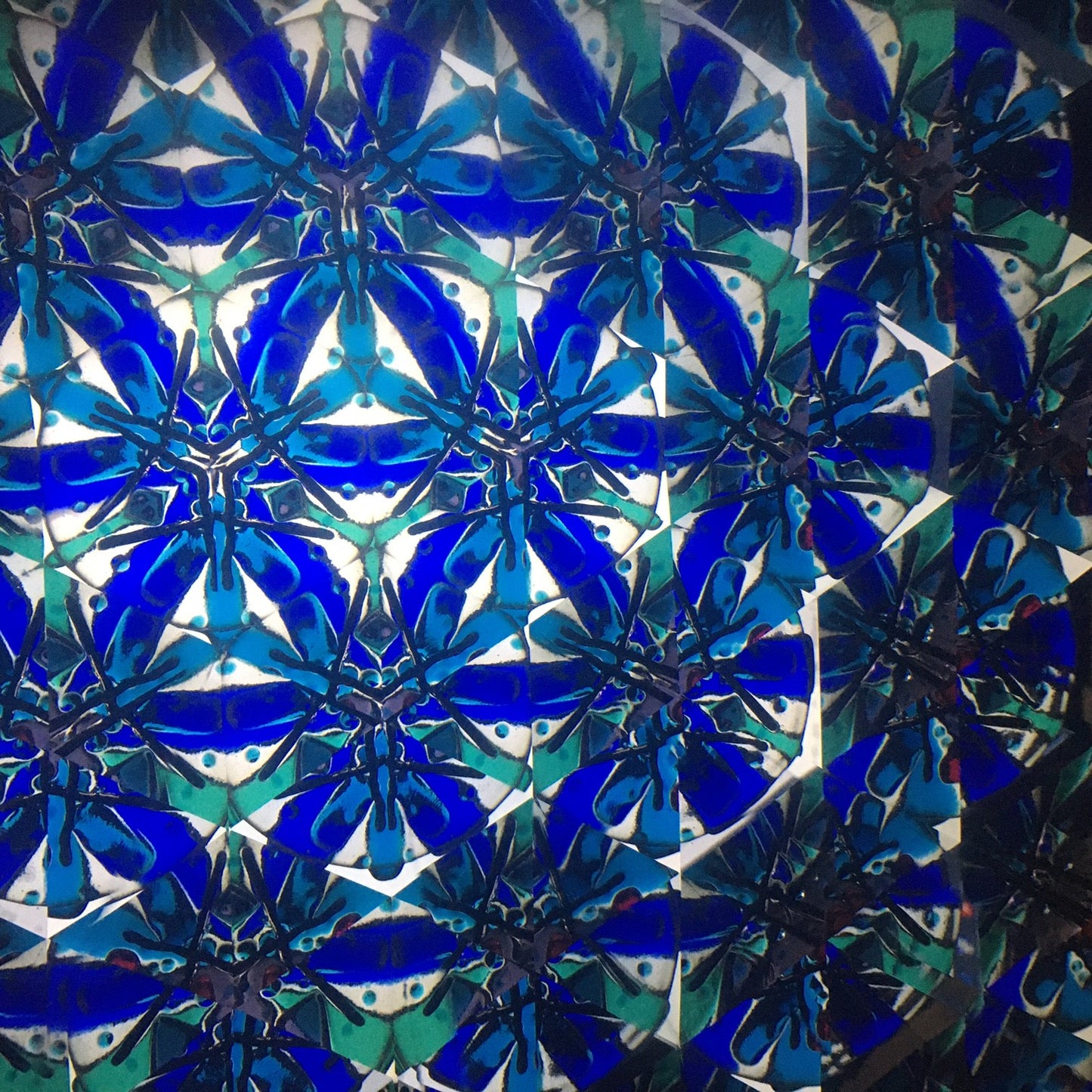 Kaleidoscope, Biplane Red
