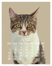 Load image into Gallery viewer, 2024 Abacus Calendar 5 X 7 Flip