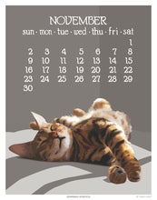 Load image into Gallery viewer, 2025 Abacus Calendar 5 X 7 Flip