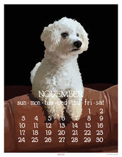 Load image into Gallery viewer, 2024 Abacus Calendar 5 X 7 Flip