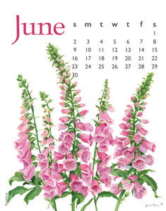 2024 Flower Spiral Desk 5X7 Inch Calendar