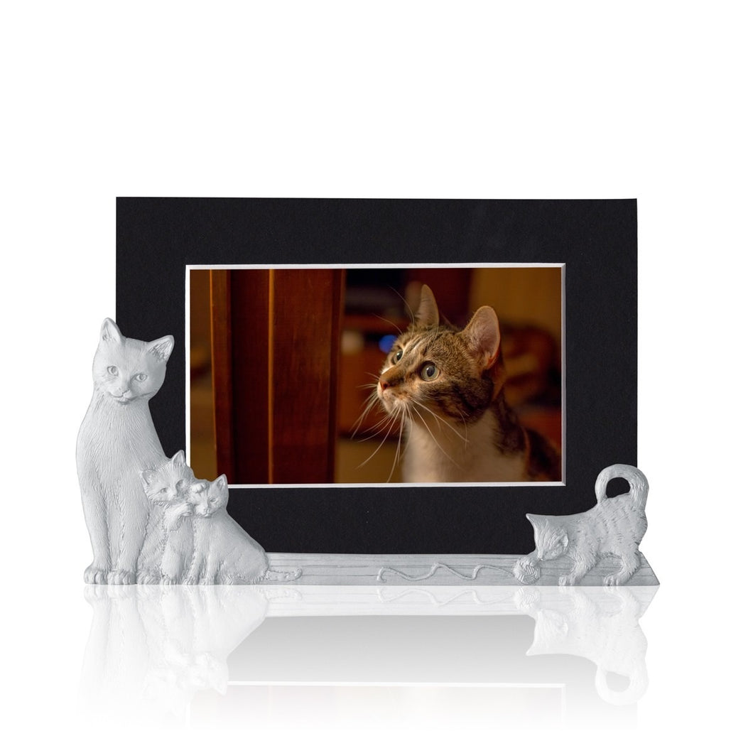 Picture Holder Cat