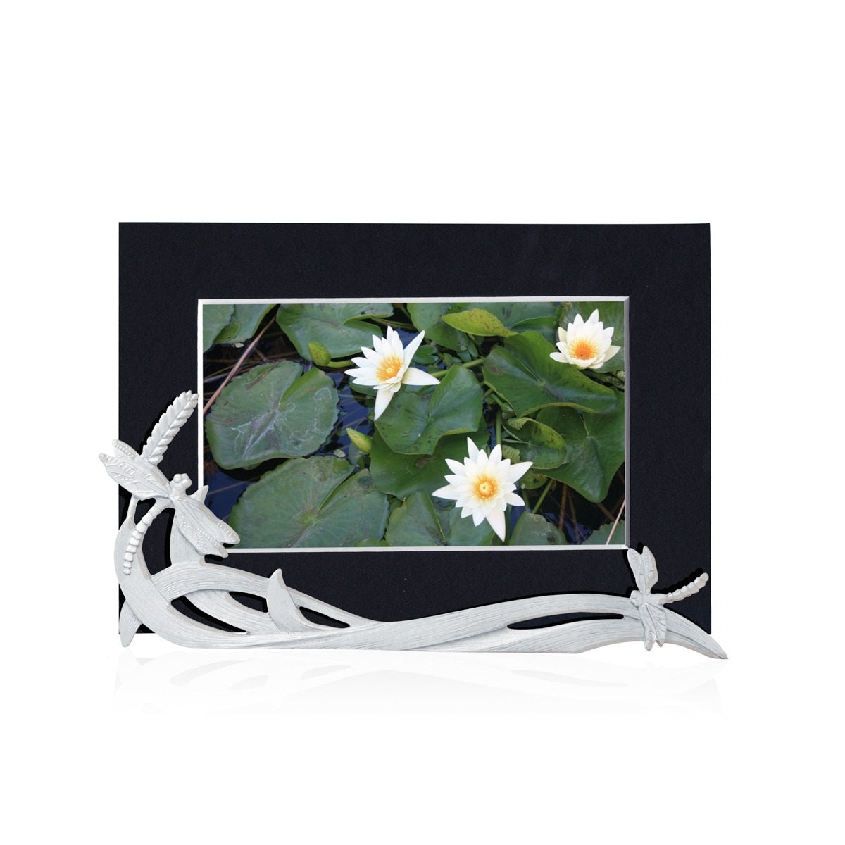 Picture Holder, Dragonfly