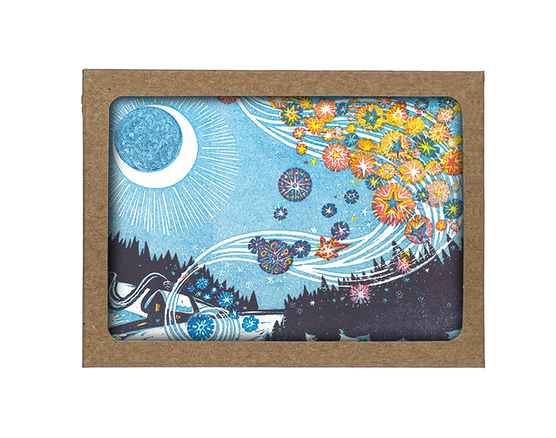 Falling Stars Boxed Cards