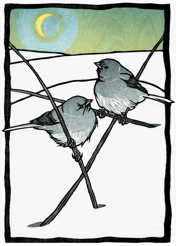 Moon Juncos Boxed Cards