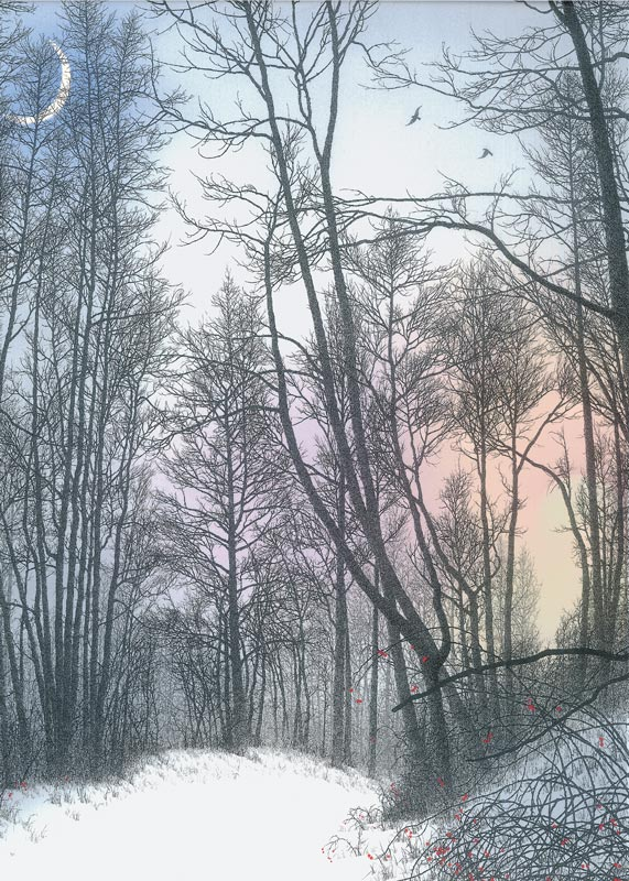 Moonlight Lane Boxed Card