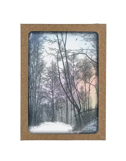 Moonlight Lane Boxed Card