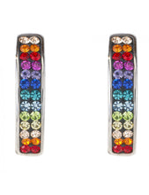 Load image into Gallery viewer, Post Earring With Rounded Stainless Steel Bar of  Pave Crystals