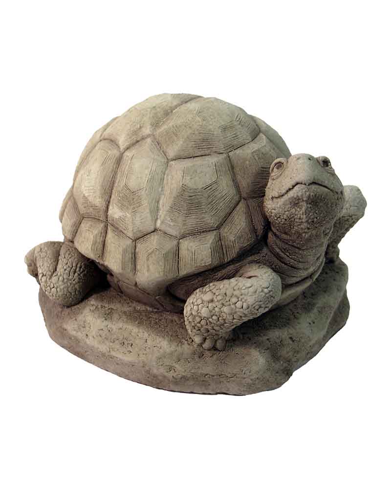 William Turtle
