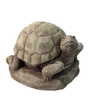 William Turtle