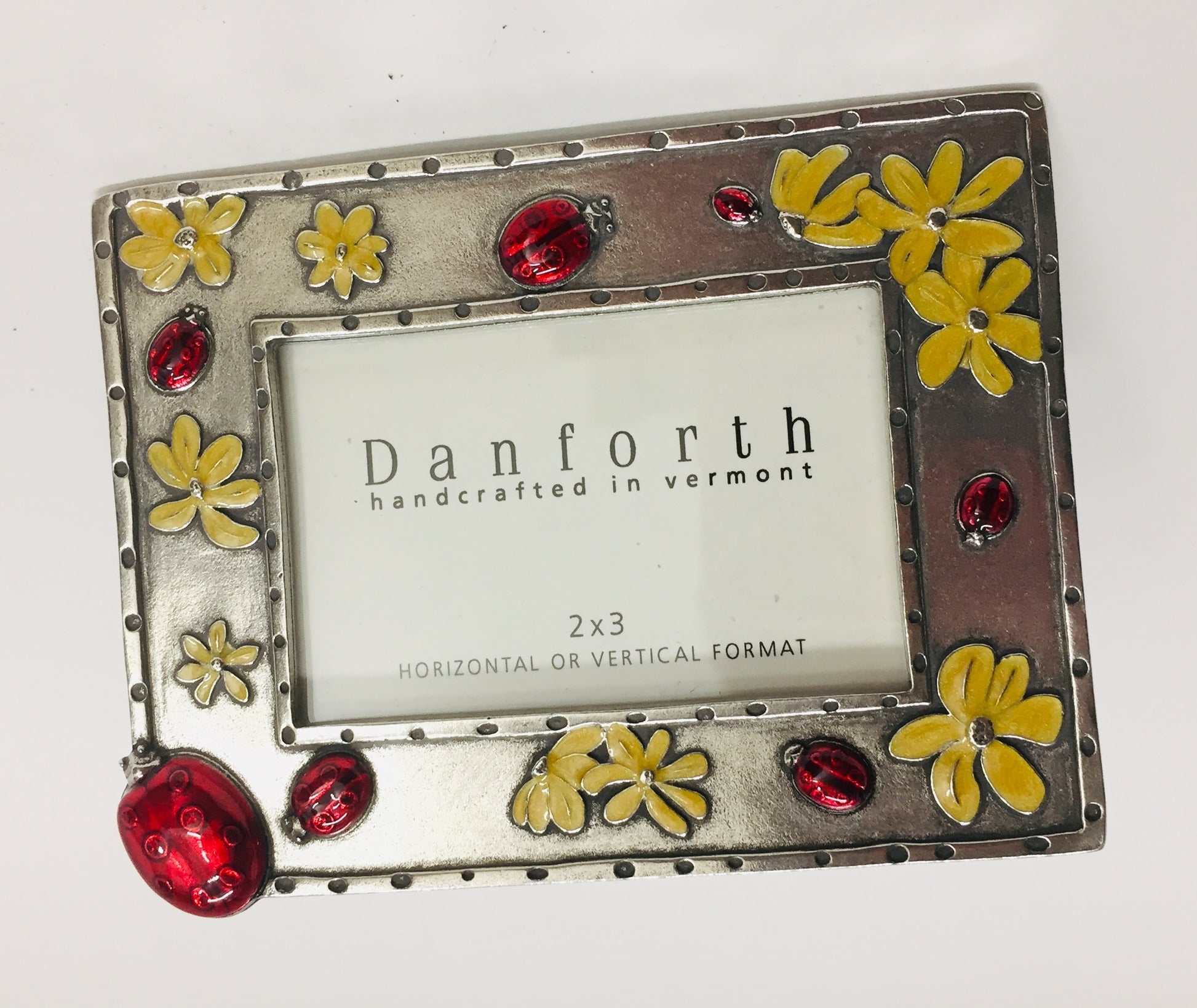 Ladybug Frame 2X3