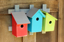 Load image into Gallery viewer, Trellis Trio-bright