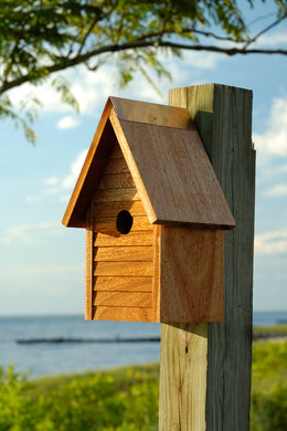 Starter Home Birdhouose
