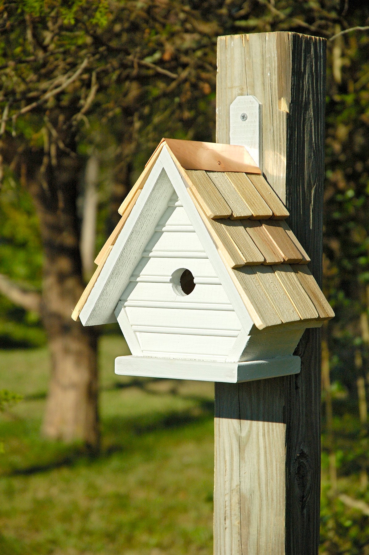CHICK BIRDHOUSE Whitewash