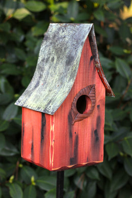 Shady Shed Redwood