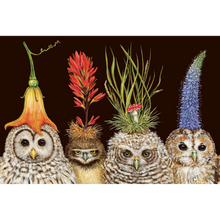Load image into Gallery viewer, Placemat, Baby Owls