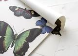 Paper Butterfly Placemants