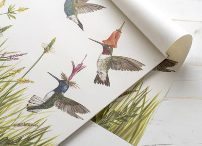 Paper Himmingbirds Placemats