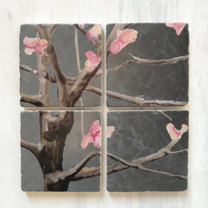 Tree With Pink Flower Coaster