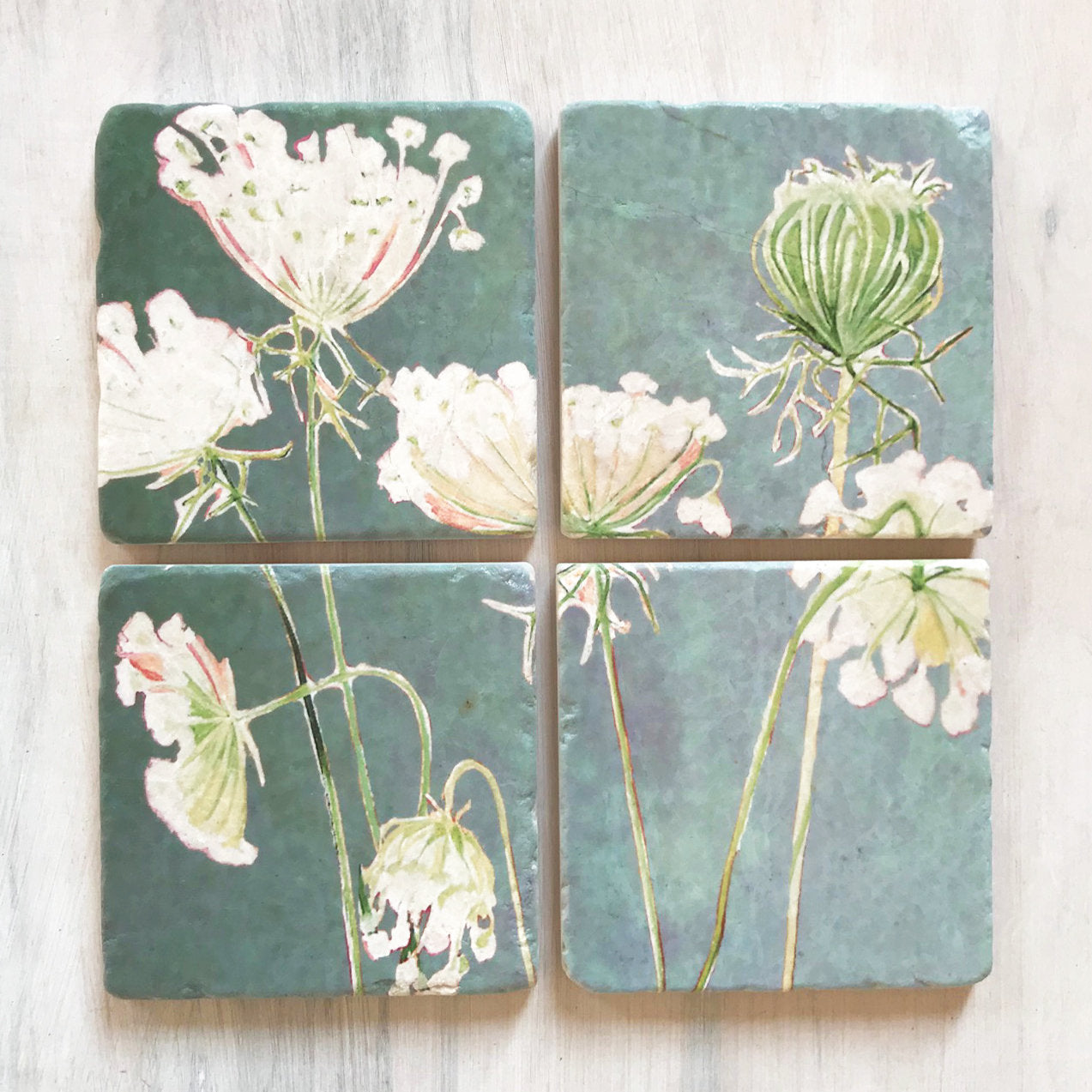 Queen Anne's Lace Coaster Set