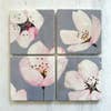 Tree With Pink Flower Coaster