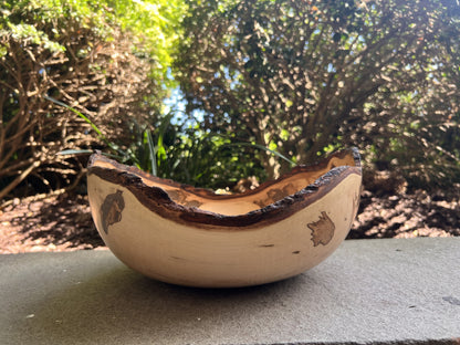 Natural Edge Ambrosia Maple Bowl