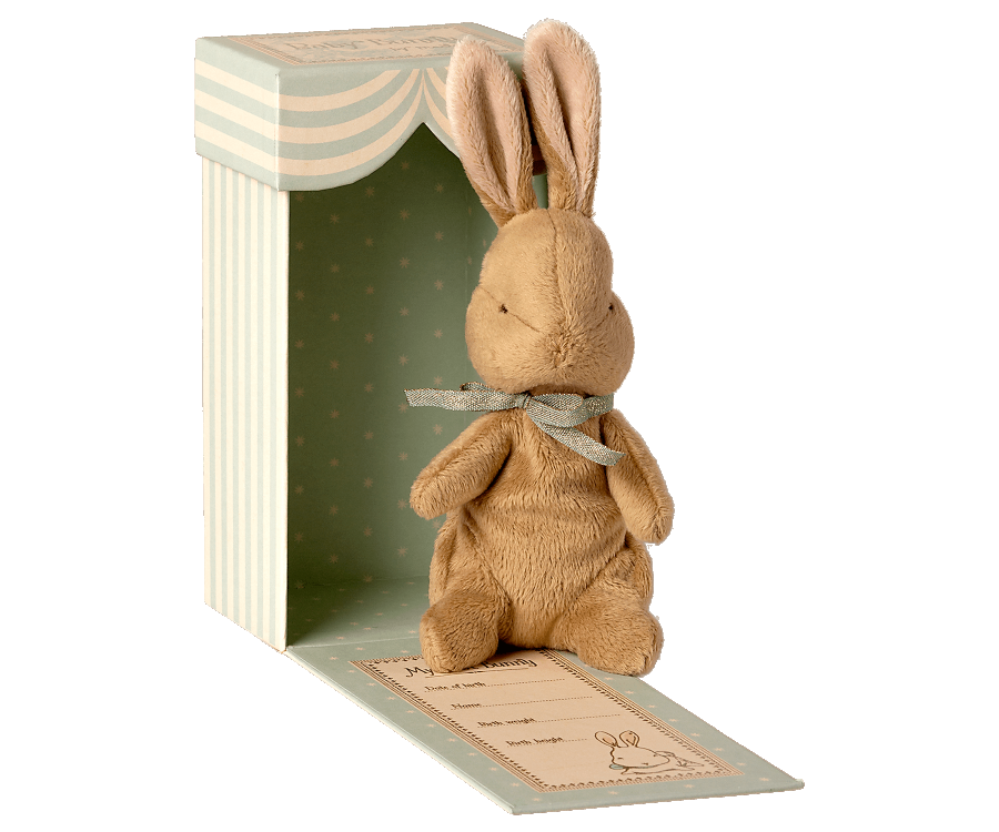 My 1st Bunny LT Blue