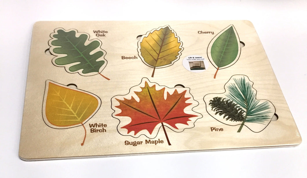 Lift and Learn Leaf Puzzle
