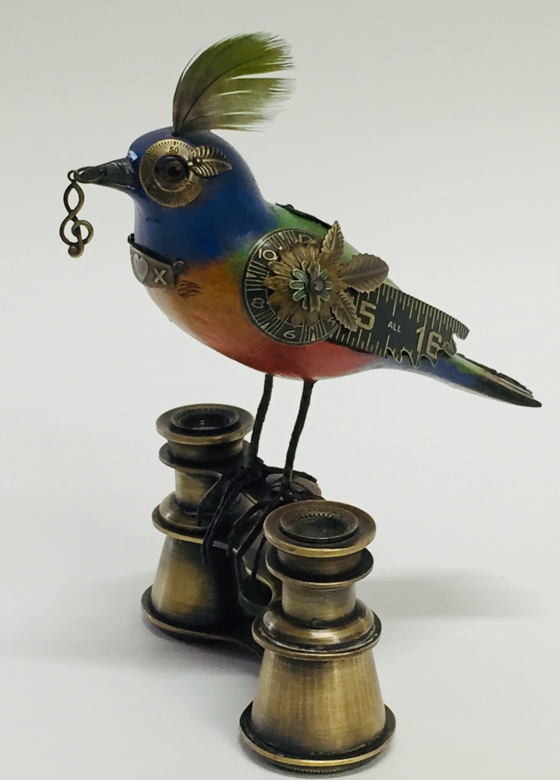 Bird On Binoculars