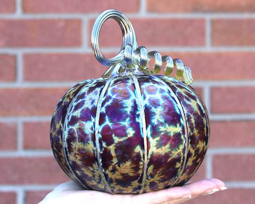 Large Pumpkin in Midnight