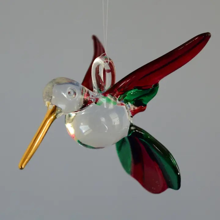 Hummingbird in Red and Green Prism