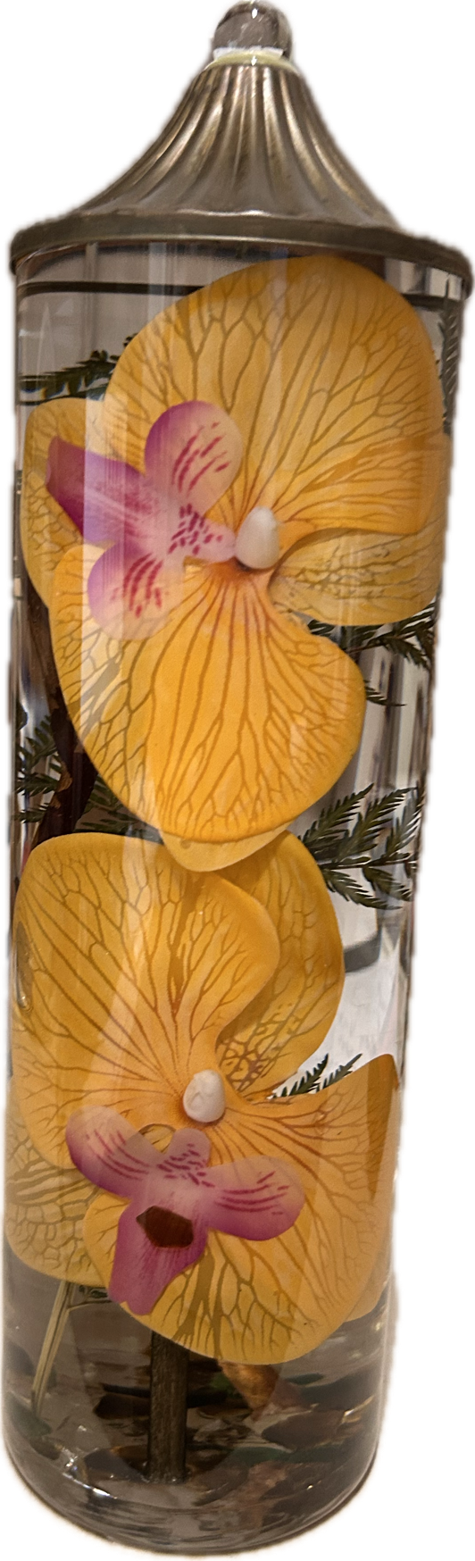 Cylinder Orange Orchid
