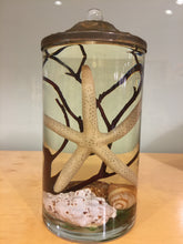 Load image into Gallery viewer, Natural Seashell Oil Candle
