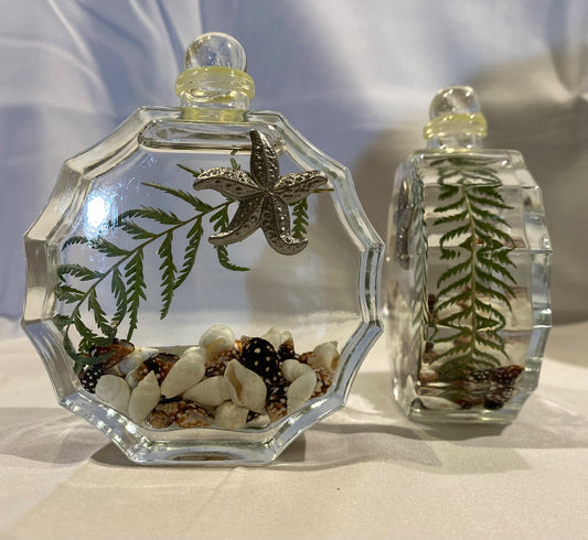 Sunburst Glass Seashell Oil Candle