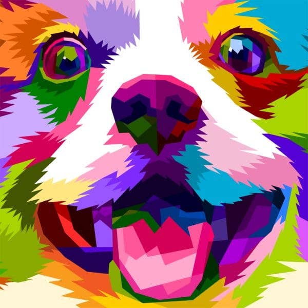 Rainbow Puppy Childrens
