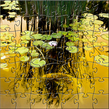 Load image into Gallery viewer, Golden Koi Teaser Puzzle