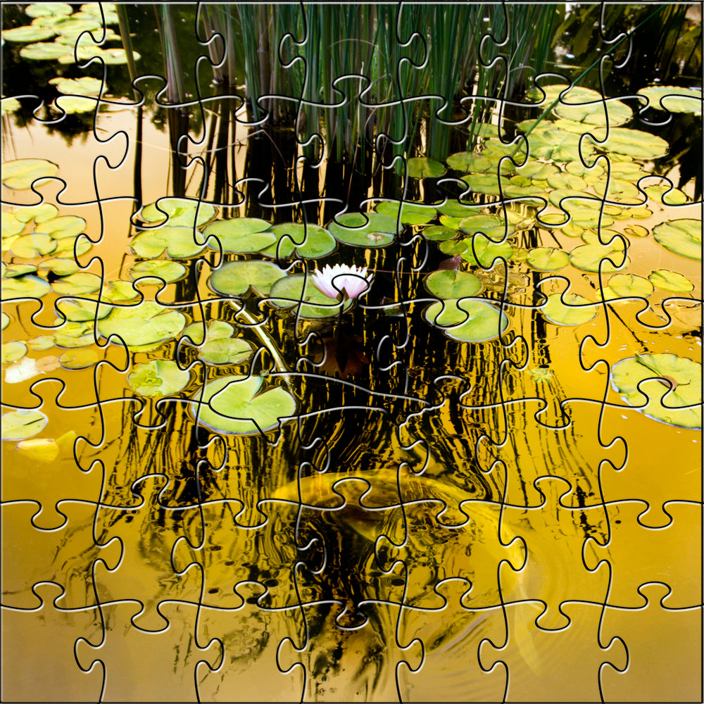 Golden Koi Teaser Puzzle