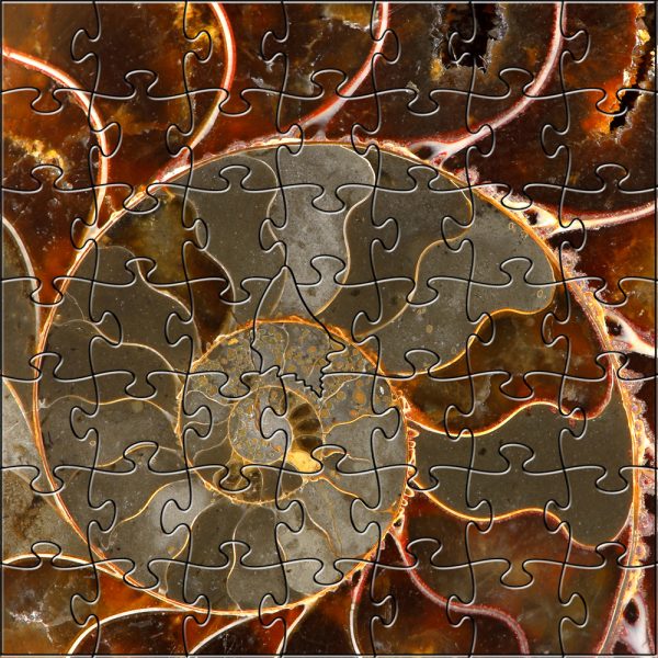 Ammolite Teaser Puzzle