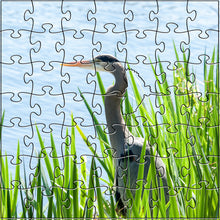 Load image into Gallery viewer, Heron Teaser Puzzle
