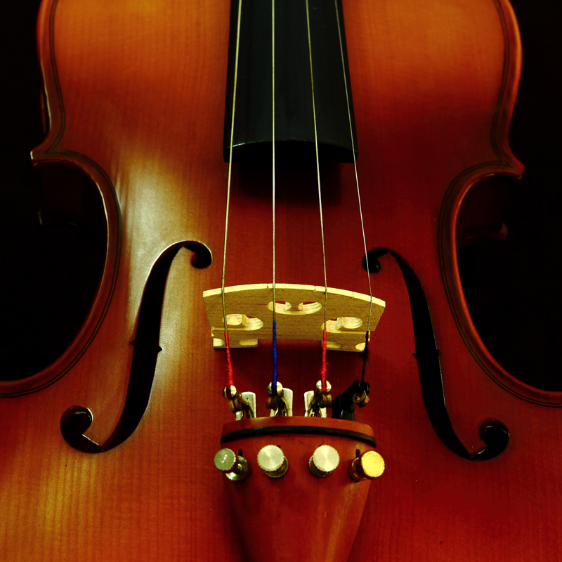 Violin Teaser Puzzle