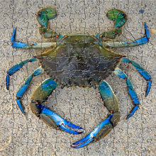 Load image into Gallery viewer, Blue Crab Small Puzzle