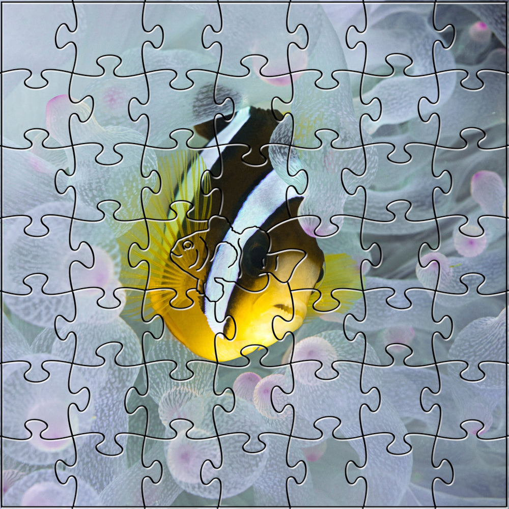 Chocolate Clown Fish Small Puzzle