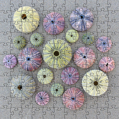 Sea Urchins Small Puzzle