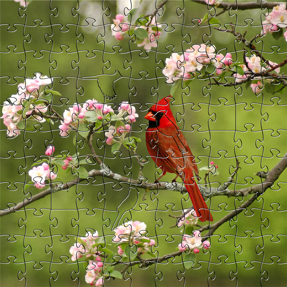 Summer Cardinal Small Puzzle