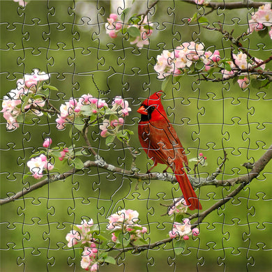 Summer Cardinal Small Puzzle