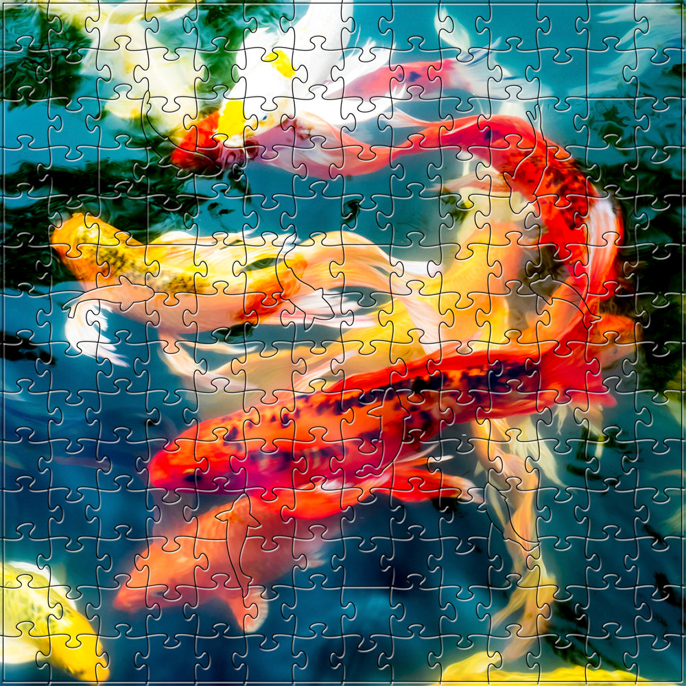 Koi Medium Puzzle