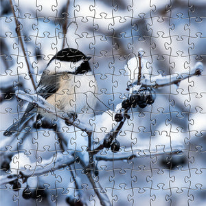 Black Capped Chickadee Smalll Puzzle